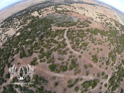 80 acres m/l. Woodward County Oklahoma HUNTING LAND for sale - image 4