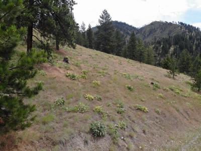 Recreation Land For Sale - image 30