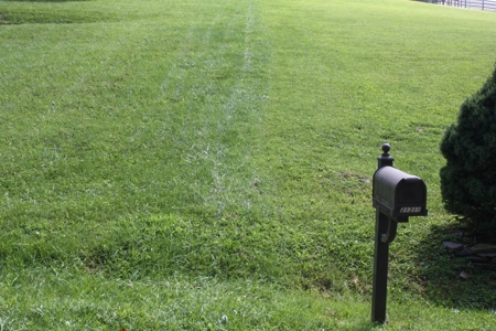 Land For Sale Near South Holston Lake In Abingdon VA - image 4