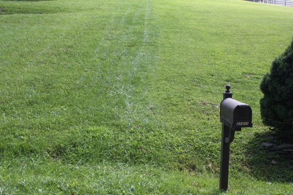 Land For Sale Near South Holston Lake In Abingdon VA