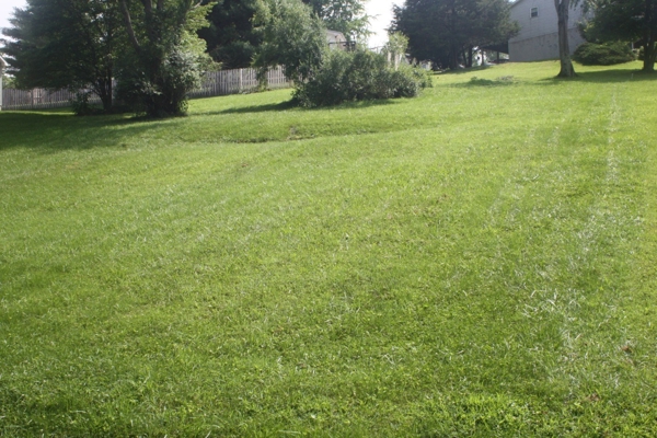 Land For Sale Near South Holston Lake In Abingdon VA