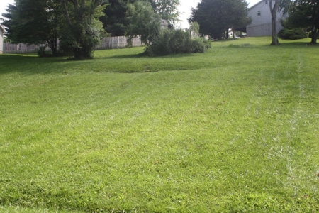 Land For Sale Near South Holston Lake In Abingdon VA - image 5