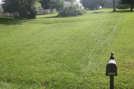 Land For Sale Near South Holston Lake In Abingdon VA - image 2