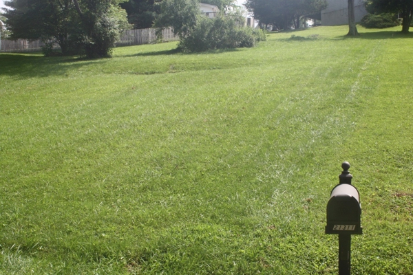 Land For Sale Near South Holston Lake In Abingdon VA