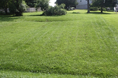 Land For Sale Near South Holston Lake In Abingdon VA - image 3