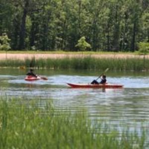 Delta Duck Hunting Resort, Spa, Restaurant & Farm Arkansas - image 40