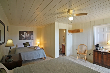 Bed and Breakfast or retreat for sale in SW Colorado - image 6