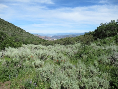 Rocky Mountain Recreational Land on Gateway to Flat Tops - image 19