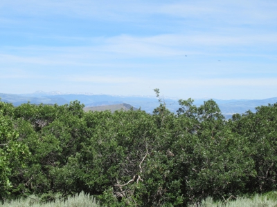 Rocky Mountain Recreational Land on Gateway to Flat Tops - image 15