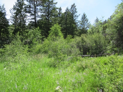 Rocky Mountain Recreational Land on Gateway to Flat Tops - image 20