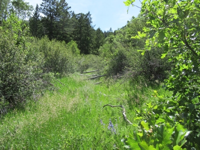 Rocky Mountain Recreational Land on Gateway to Flat Tops - image 9