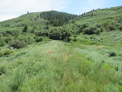 Rocky Mountain Recreational Land on Gateway to Flat Tops - image 5
