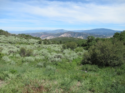Rocky Mountain Recreational Land on Gateway to Flat Tops - image 7