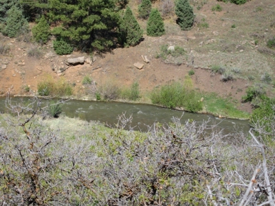 Acreage with views in Norwood, CO - image 4