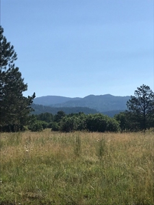 Chama NM Land for Sale near Chama River with Utilities - image 4