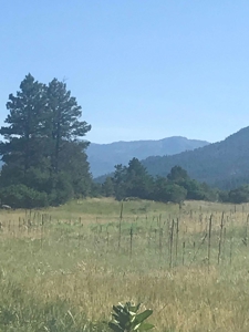 Chama NM Land for Sale near Chama River with Utilities - image 1