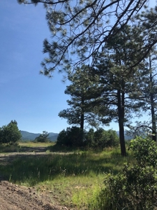 Chama NM Land for Sale near Chama River with Utilities - image 3