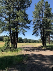 Chama NM Land for Sale near Chama River with Utilities - image 2