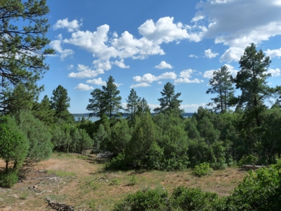 Vacant Land with Cabin for Sale Near Heron Lake, Chama NM - image 1