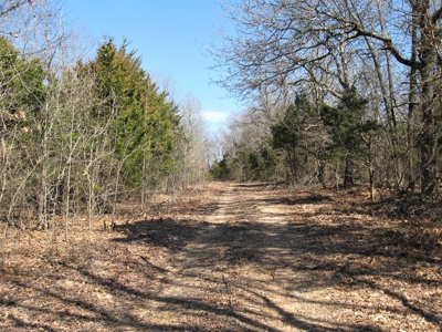 Hunting / Commercial Development Property FOR SALE - image 6