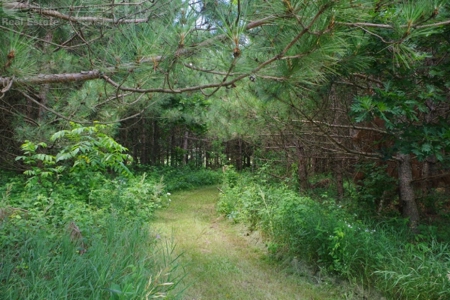Log Home with Prime Hunting in Marquette County - image 21