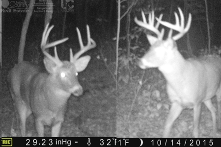 Log Home with Prime Hunting in Marquette County - image 24