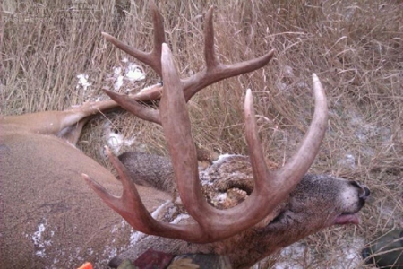 Log Home with Prime Hunting in Marquette County - image 32
