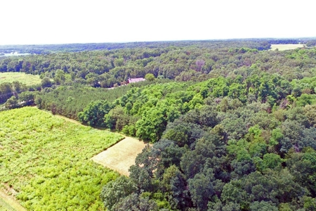 Log Home with Prime Hunting in Marquette County - image 22