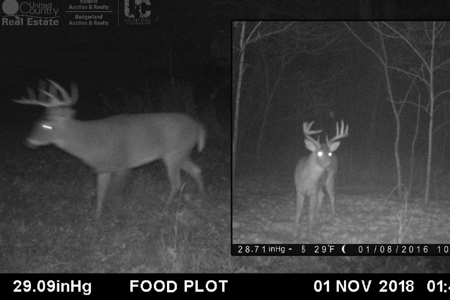 Log Home with Prime Hunting in Marquette County - image 26