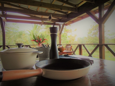 Tropical Lodge or B&B near Bluff Beach Bocas Del Toro Panama - image 12