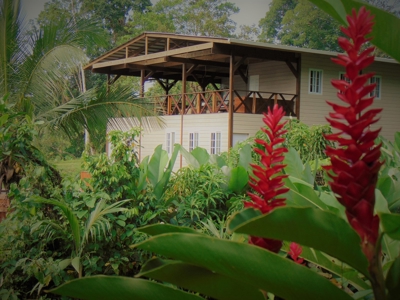 Tropical Lodge or B&B near Bluff Beach Bocas Del Toro Panama - image 31