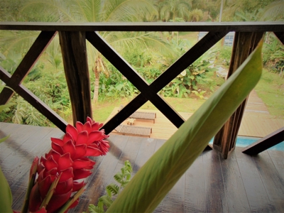 Tropical Lodge or B&B near Bluff Beach Bocas Del Toro Panama - image 19