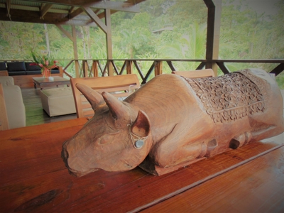 Tropical Lodge or B&B near Bluff Beach Bocas Del Toro Panama - image 17