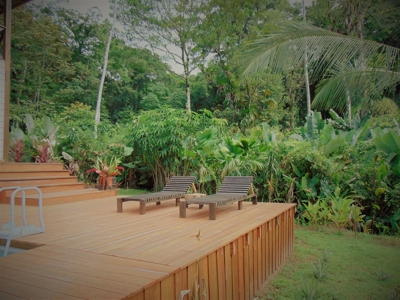 Tropical Lodge or B&B near Bluff Beach Bocas Del Toro Panama - image 28