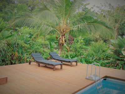 Tropical Lodge or B&B near Bluff Beach Bocas Del Toro Panama - image 22