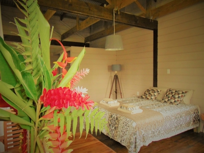 Tropical Lodge or B&B near Bluff Beach Bocas Del Toro Panama - image 1