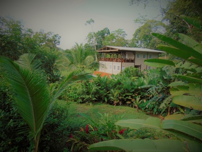 Tropical Lodge or B&B near Bluff Beach Bocas Del Toro Panama