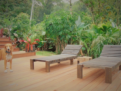 Tropical Lodge or B&B near Bluff Beach Bocas Del Toro Panama - image 18