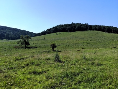 Special Commissioner Land Auction Wythe County, VA - image 30