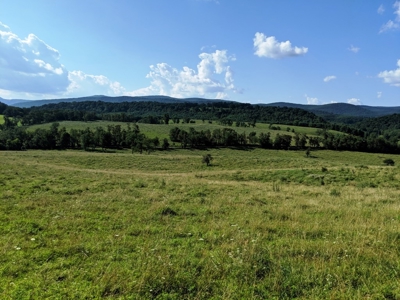 Special Commissioner Land Auction Wythe County, VA - image 20