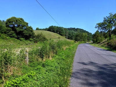 Special Commissioner Land Auction Wythe County, VA - image 25