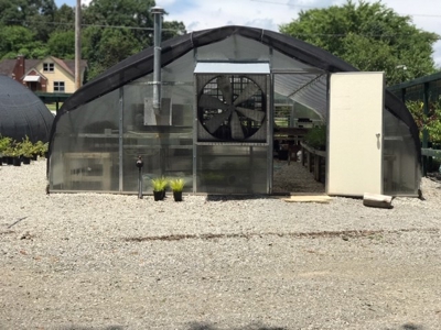 Arkansas Established Nursery For Sale - image 2