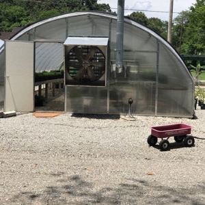 Arkansas Established Nursery For Sale - image 3