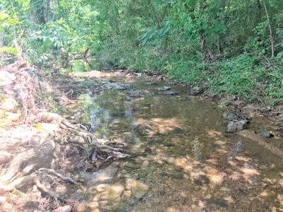 Arkansas Established Nursery For Sale - image 12