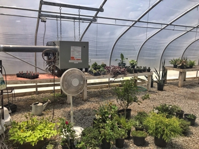 Arkansas Established Nursery For Sale - image 13