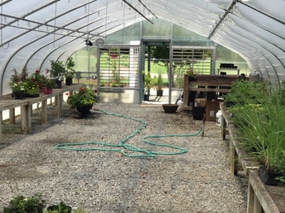 Arkansas Established Nursery For Sale - image 4