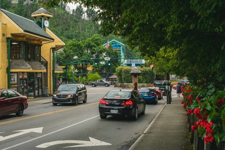 Commercial And Business Lots For Auction In Gatlinburg TN - image 24