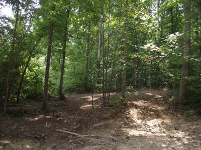 Wooded land for sale - image 12