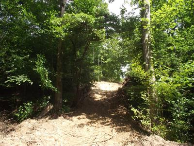 Wooded land for sale - image 13