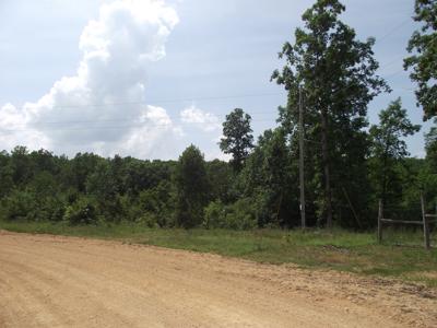 Wooded land for sale - image 15